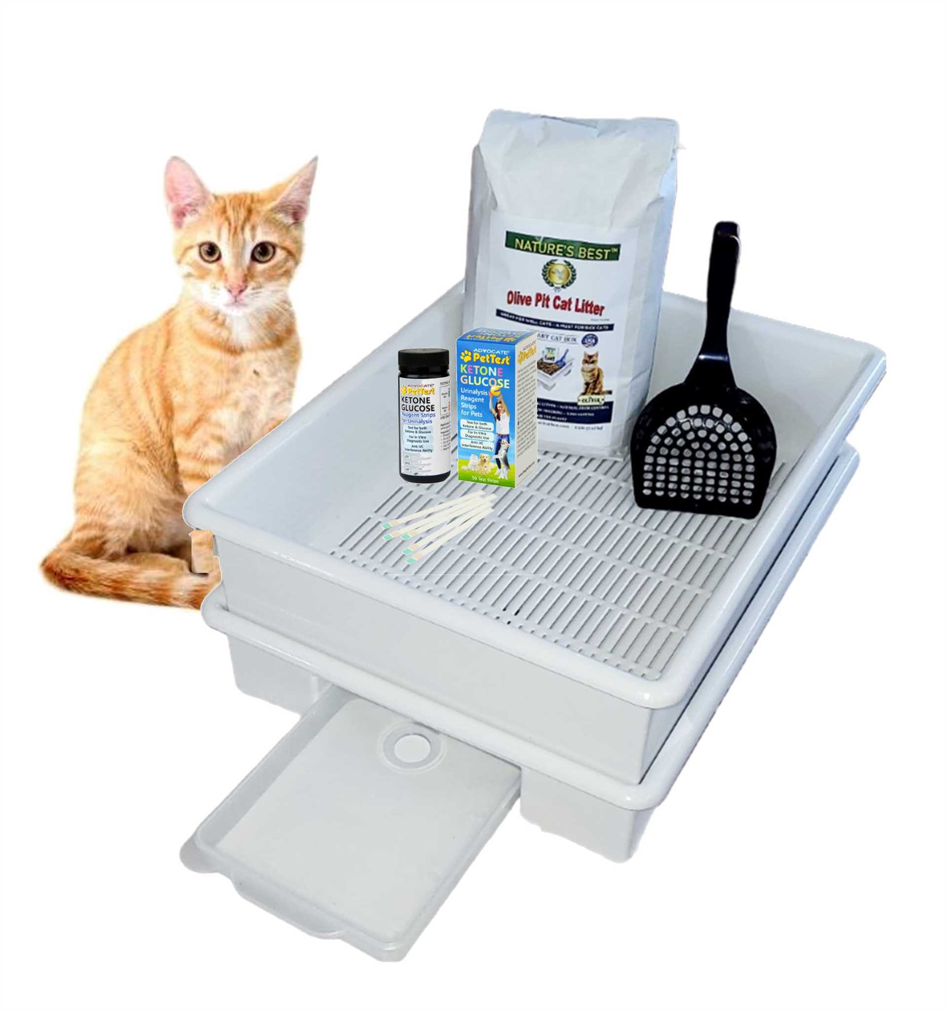 Best cat litter for cats who pee a lot