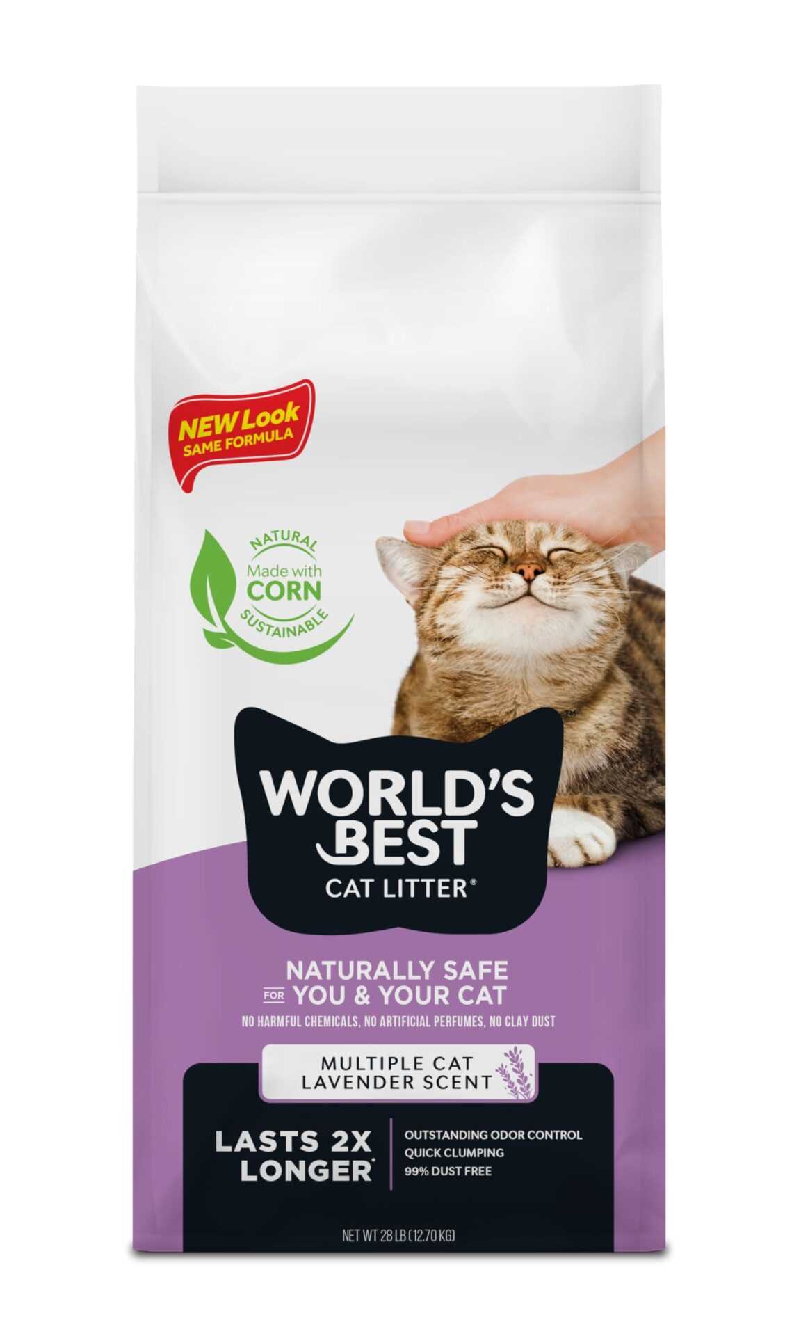 Best cat litter for cats with allergies