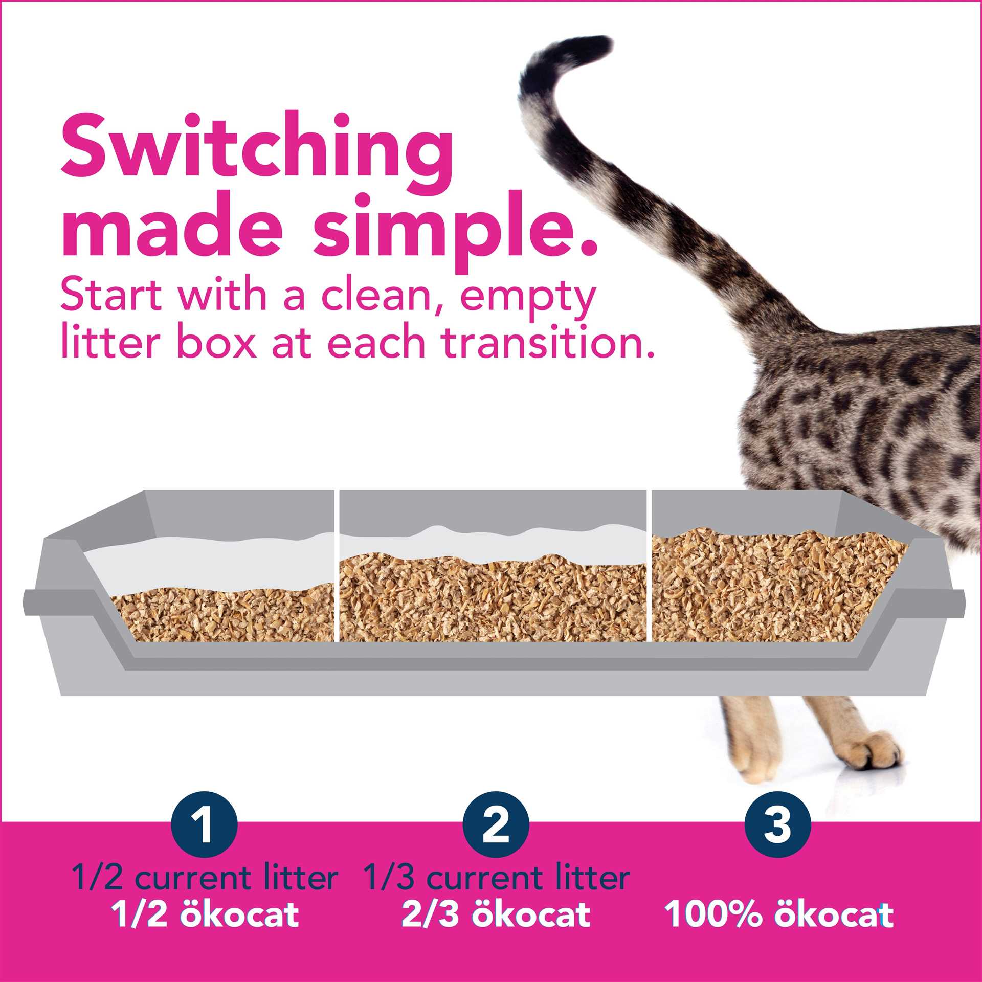 Best cat litter for cats with asthma