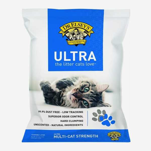Best cat litter for odor and multiple cats