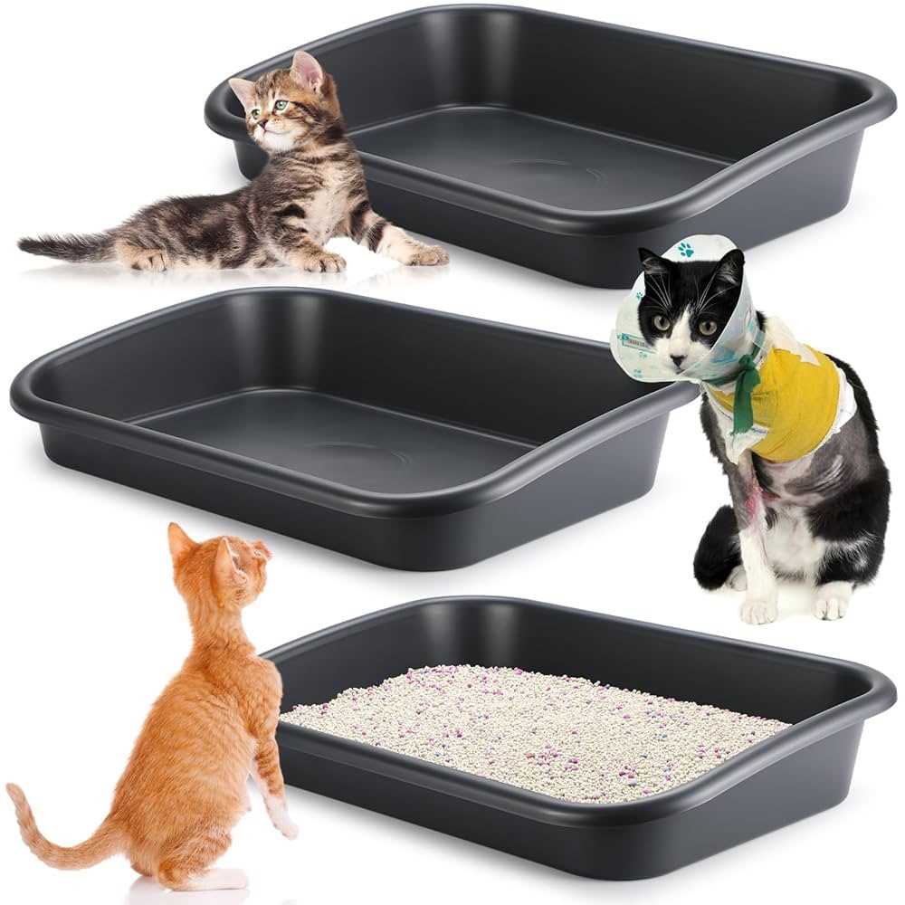 Best cat litter for older cats