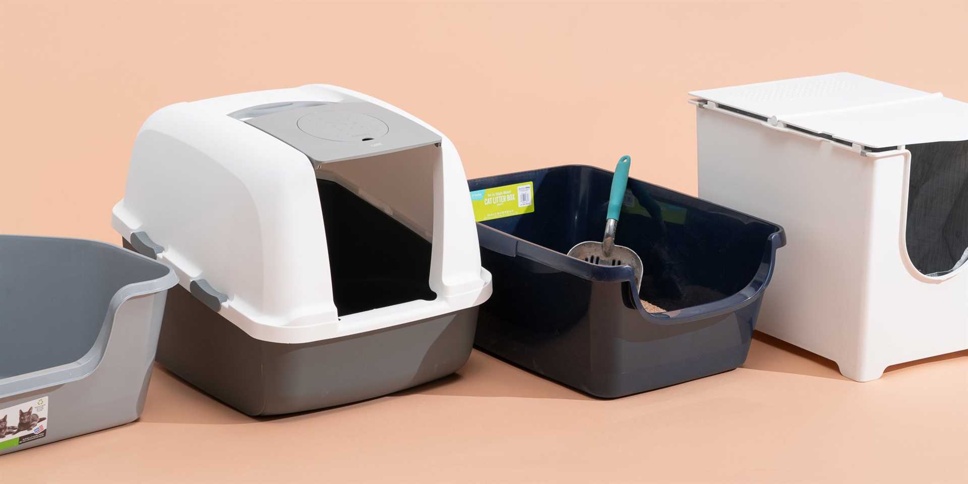 Best cat litter for outdoor cats