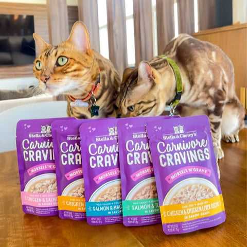 Best cat litter for picky cats