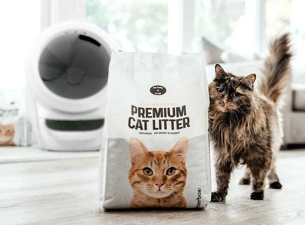 Best cat litter for two cats