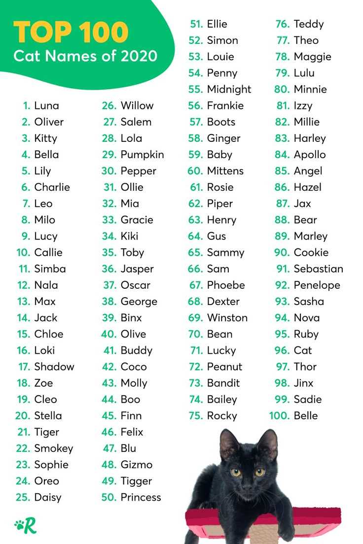 Best cat names for black cats