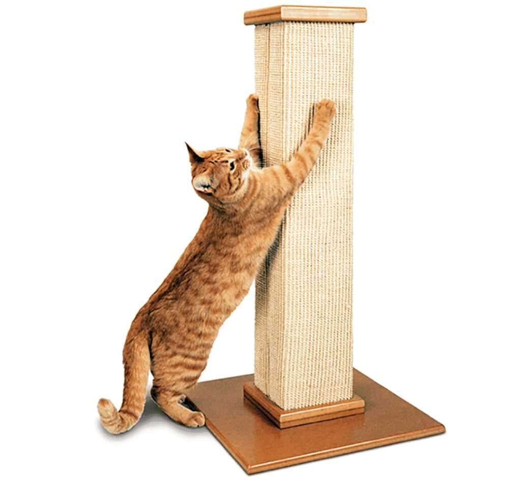 Best cat scratching post for large cats