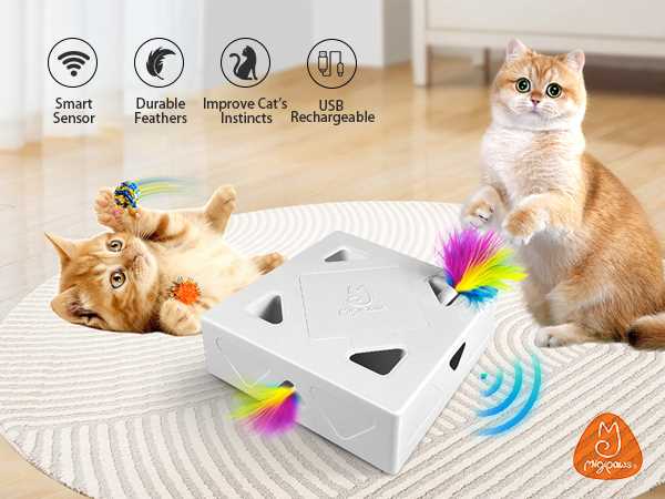 Best cat toys for smart cats