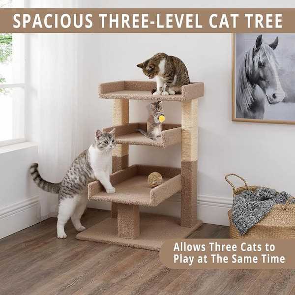 Best cat tree for big cats