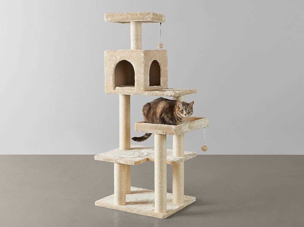 Best cat tree for heavy cats