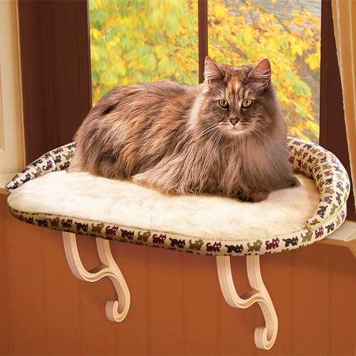 Best cat window perch for large cats