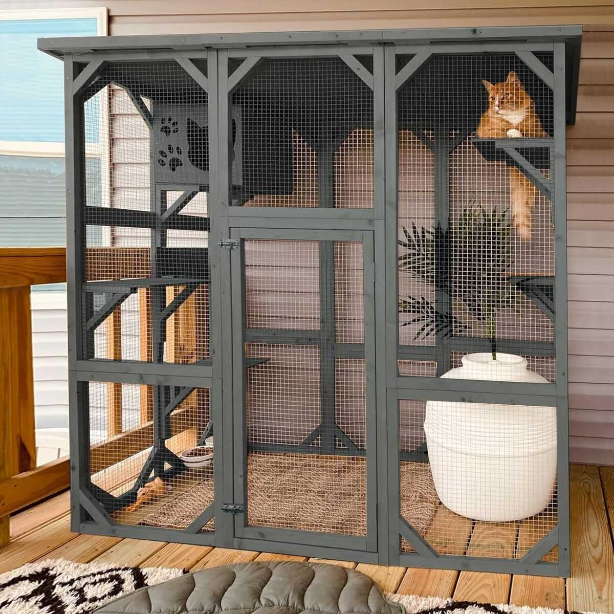 Best catio for cats