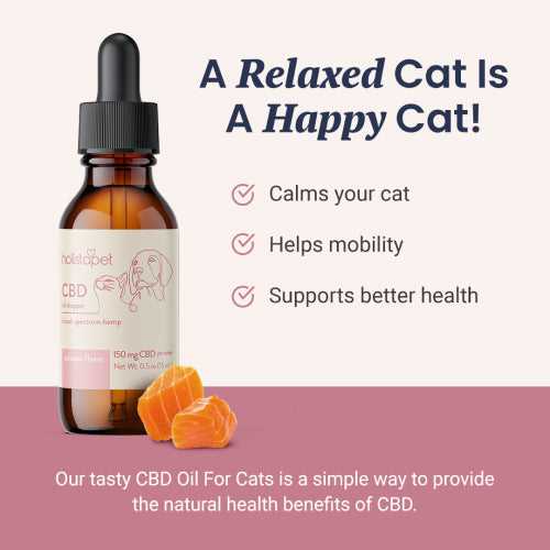 Best cbd oil for cats