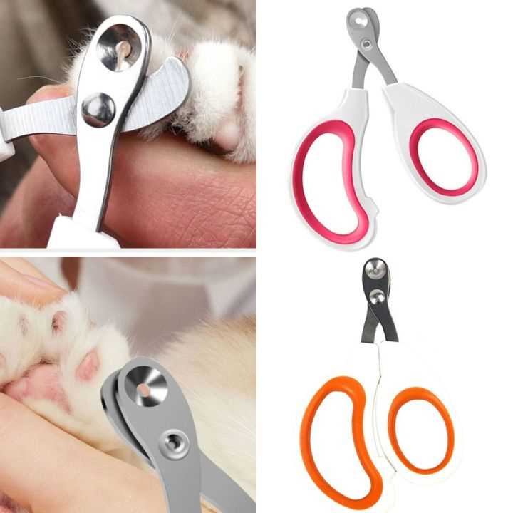 Best claw clippers for cats