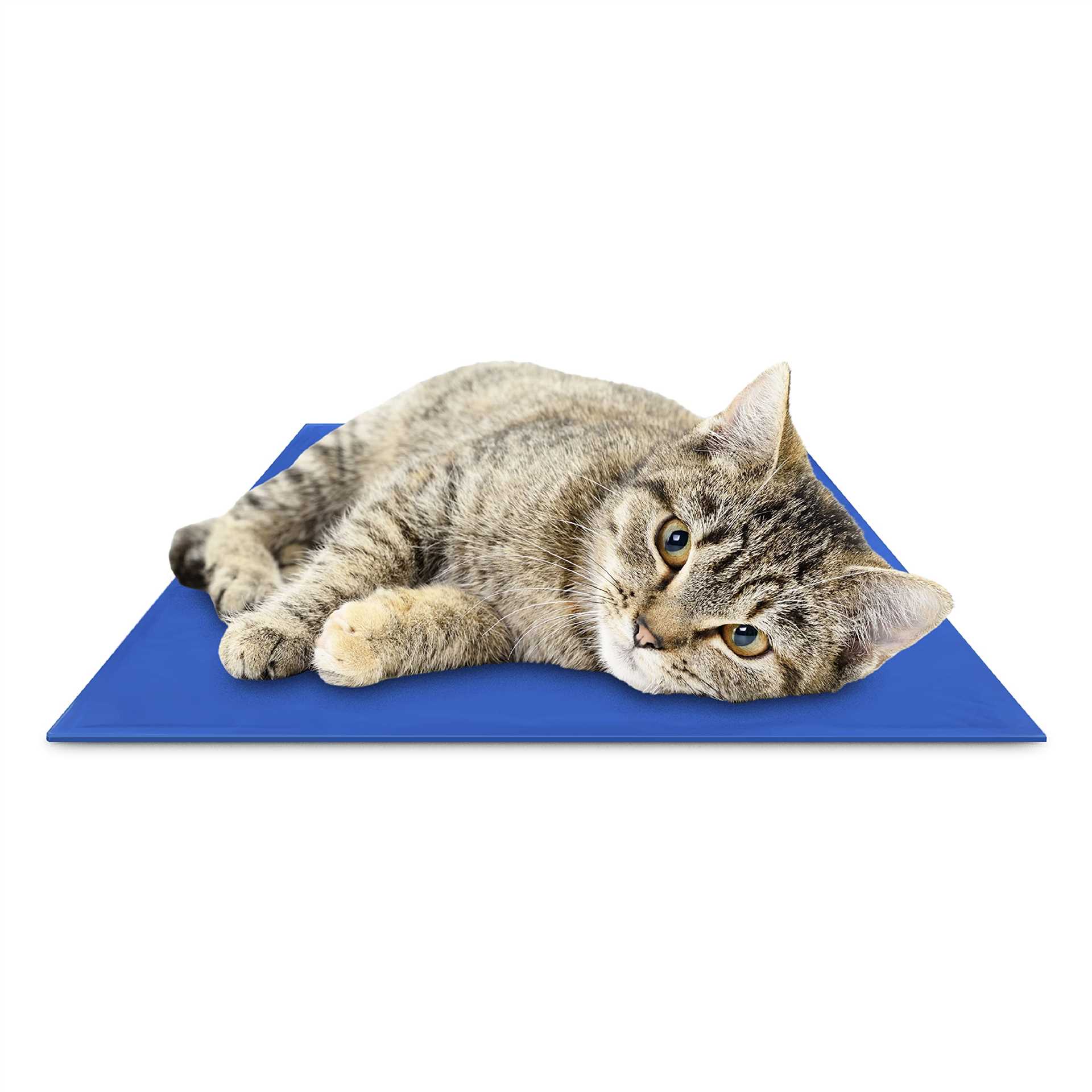Best cool mat for cats