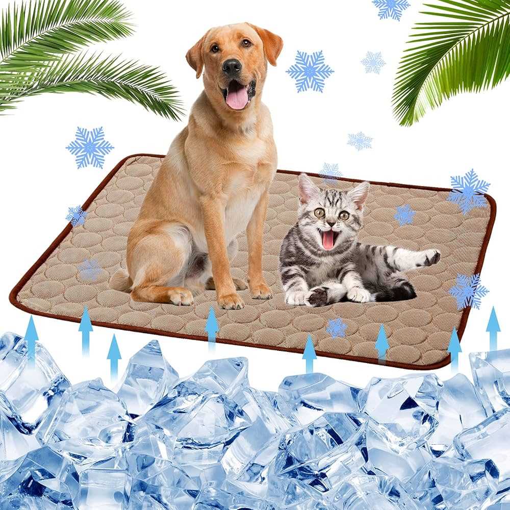 Best cooling mat for outdoor cats