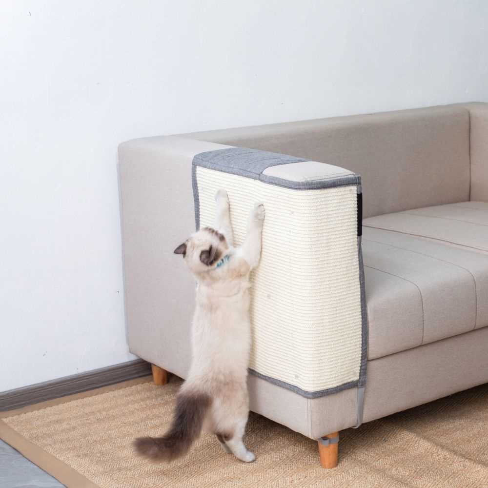 Best couch protector for cats