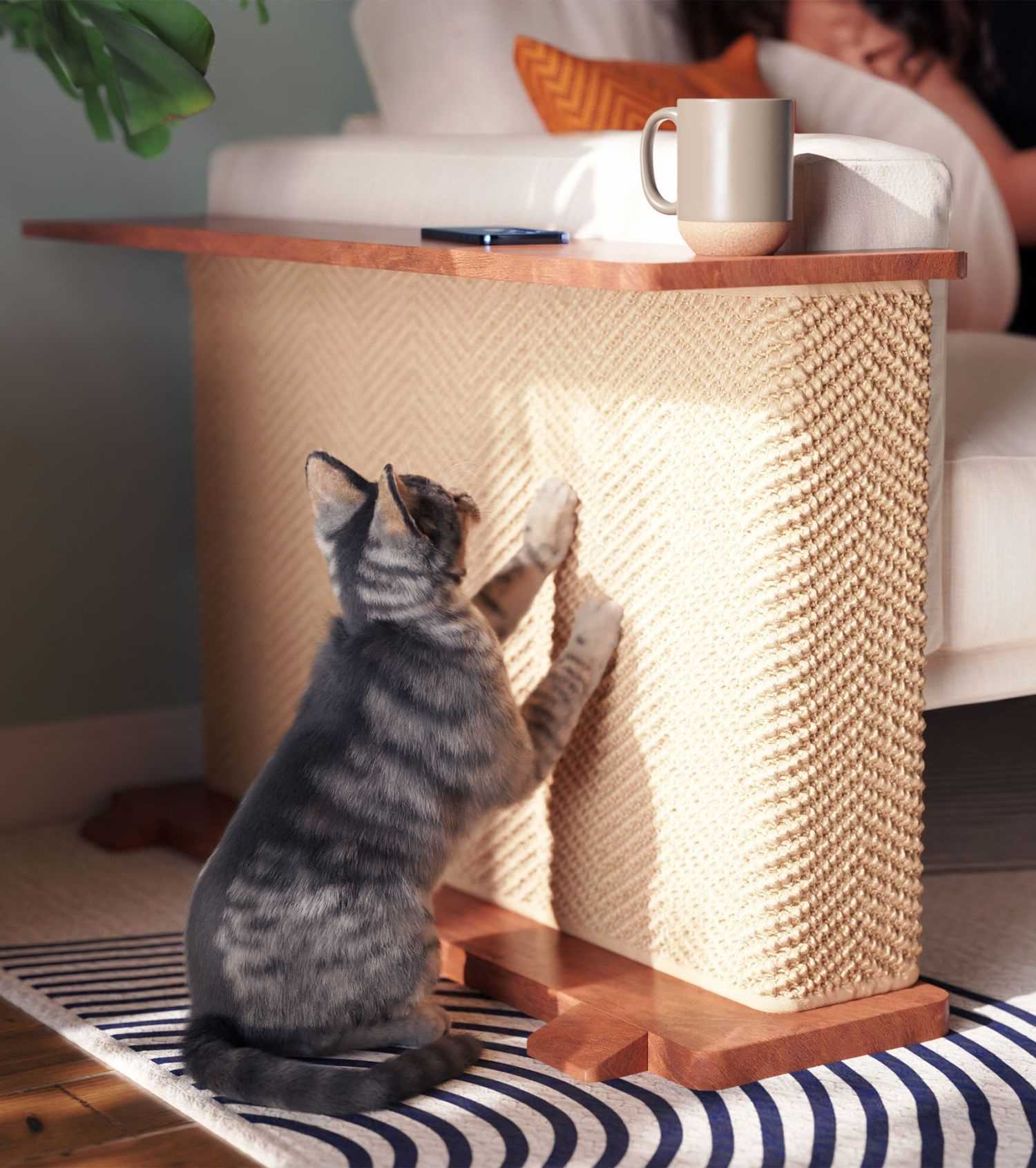 Best couches for cats that scratch