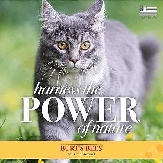 Best dander reducing wipes for cats