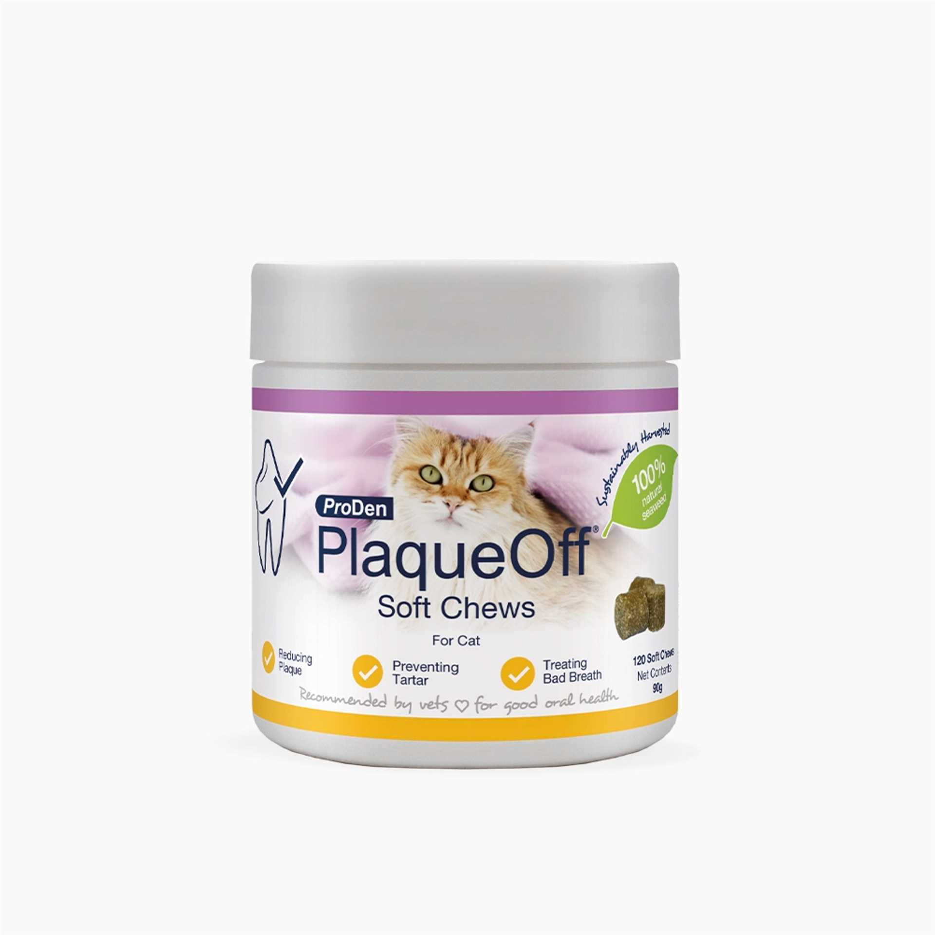 Best dental chews for cats