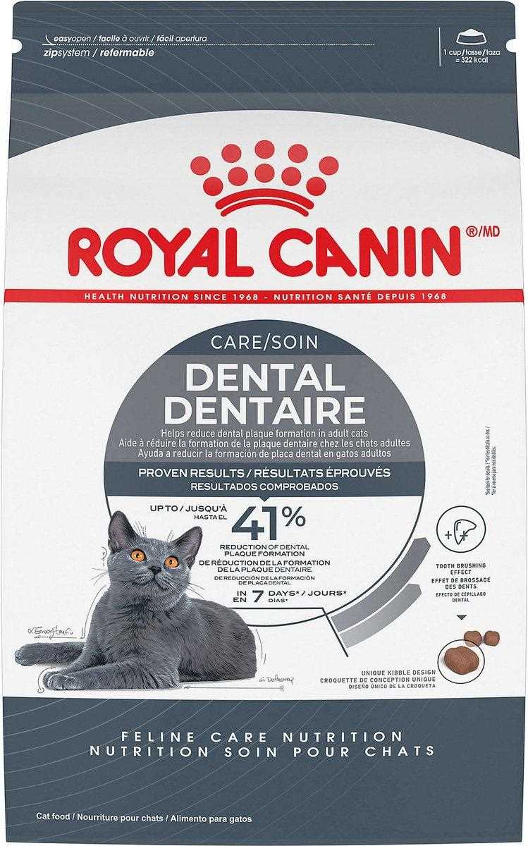 Best dental food for cats