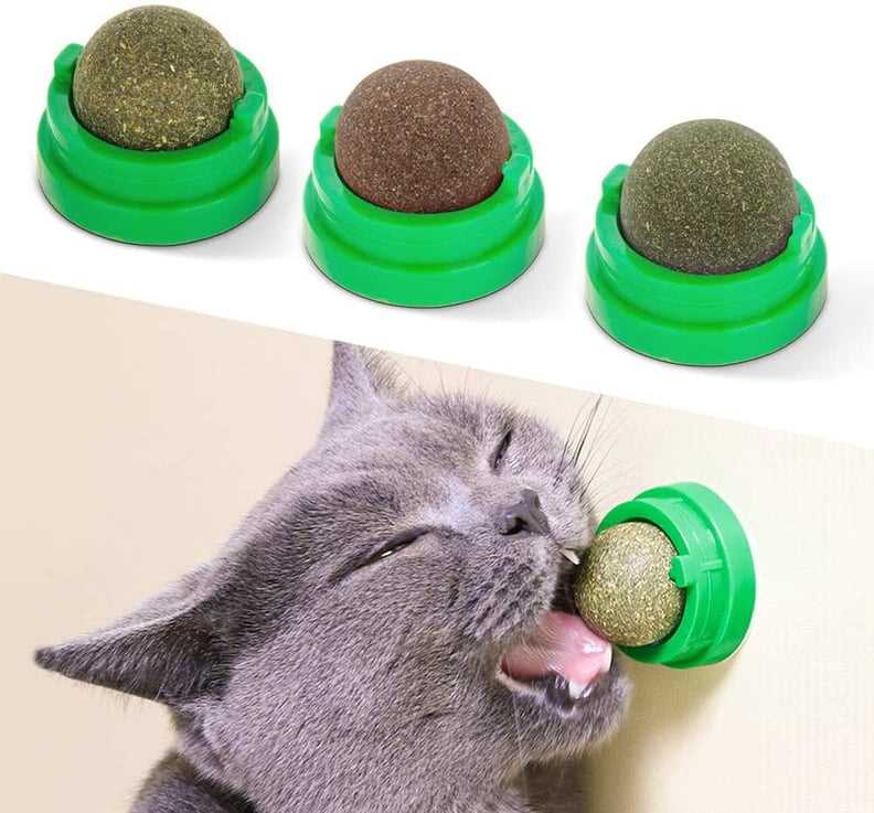 Best dental toys for cats