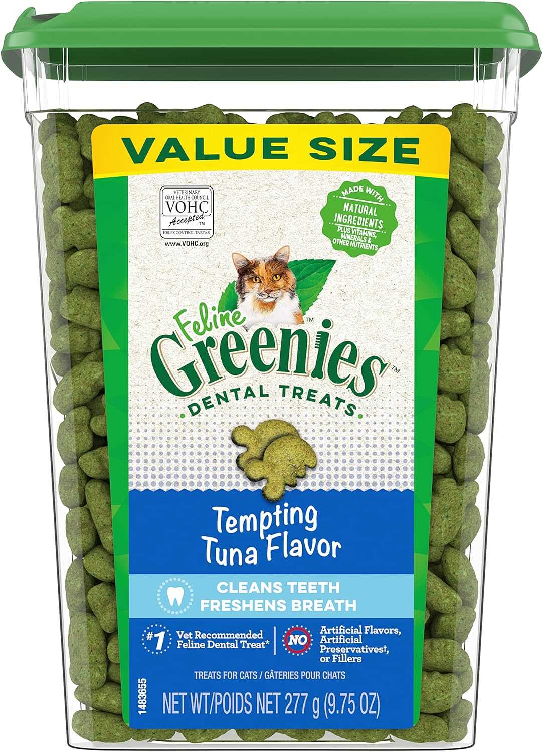 Best dental treat for cats