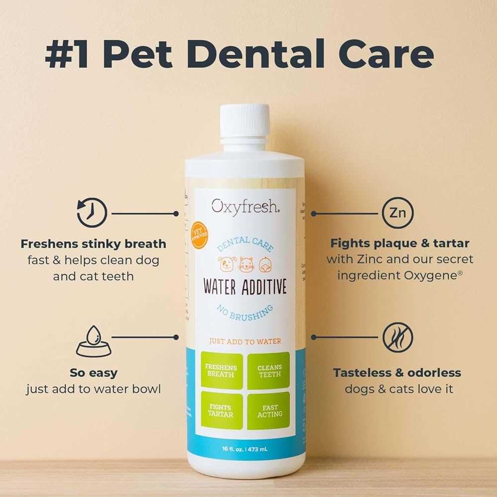 Best dental water additive for cats
