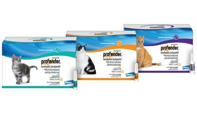 Best dewormer for outdoor cats