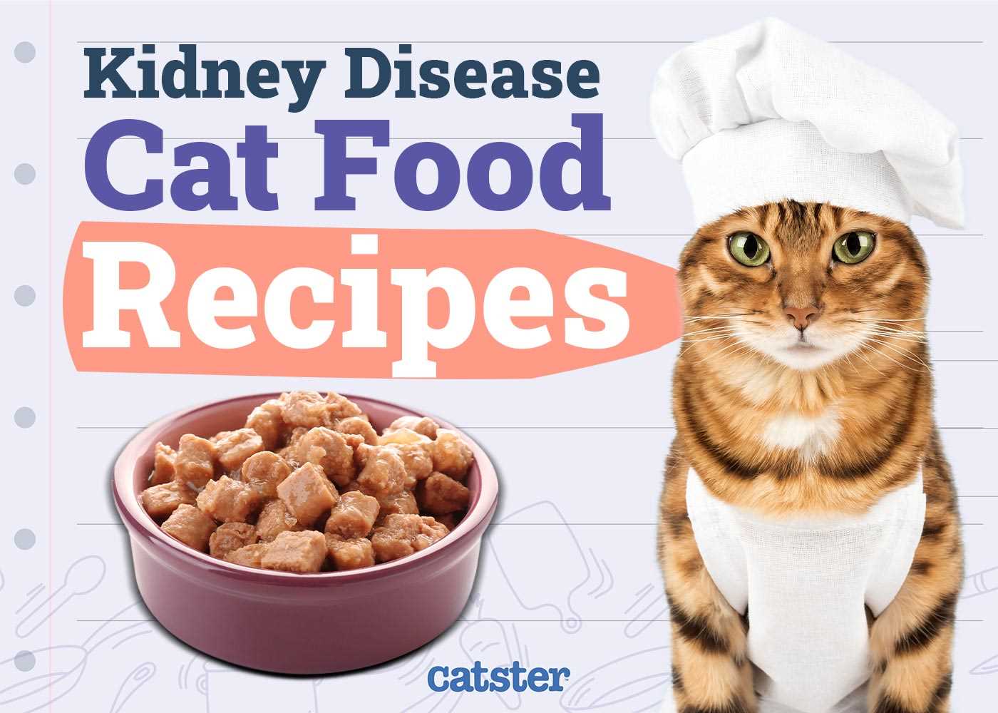 Best diet for cats with kidney disease