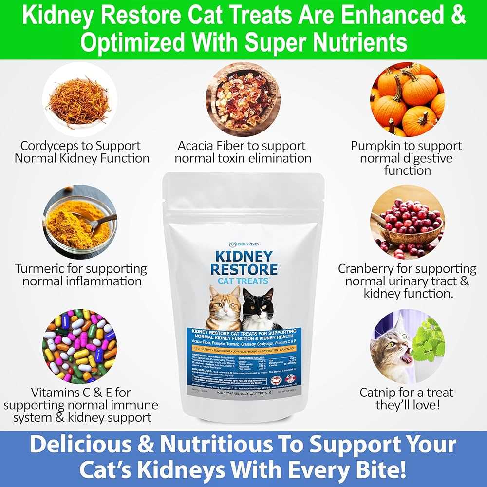 Best diet for cats with kidney problems