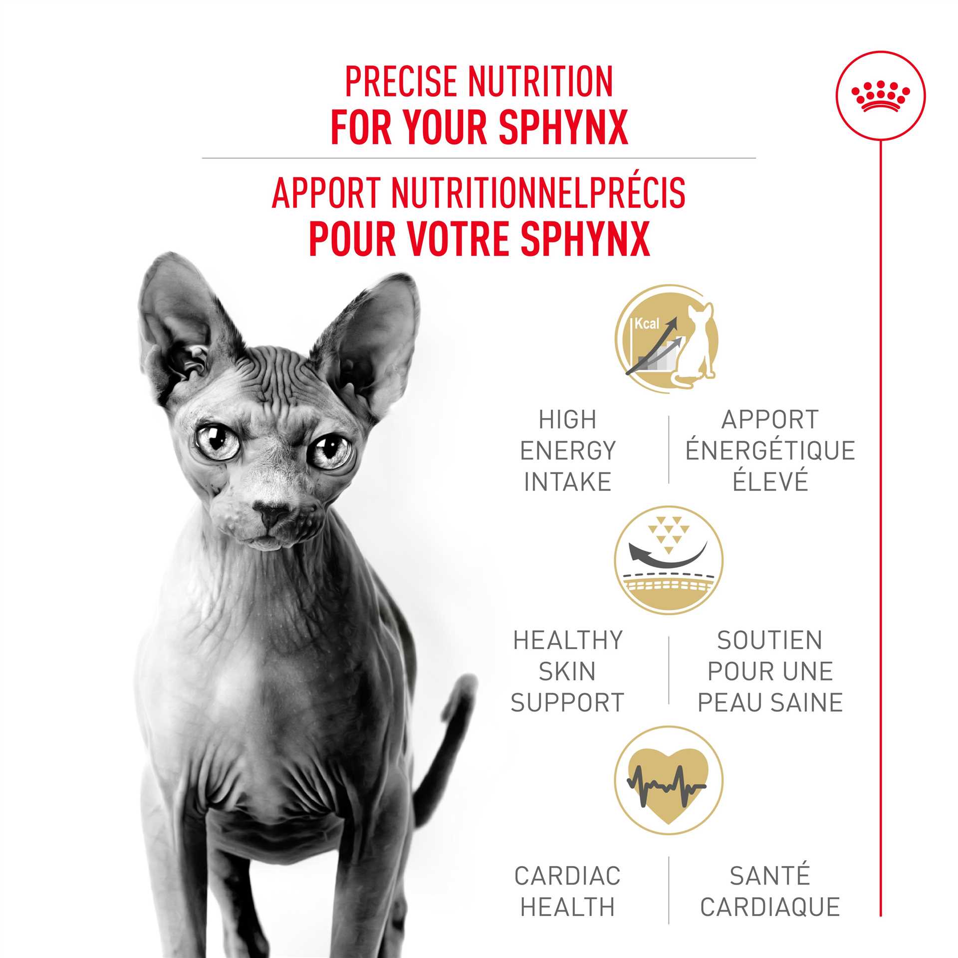 Best diet for sphynx cats
