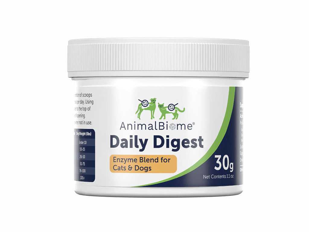 Best digestive enzymes for cats