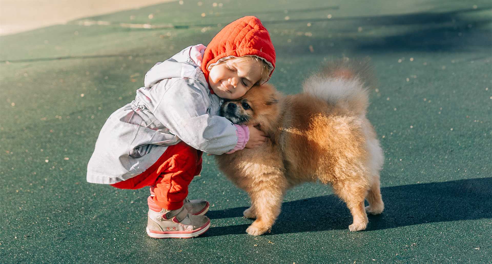 Best dogs for kids and cats