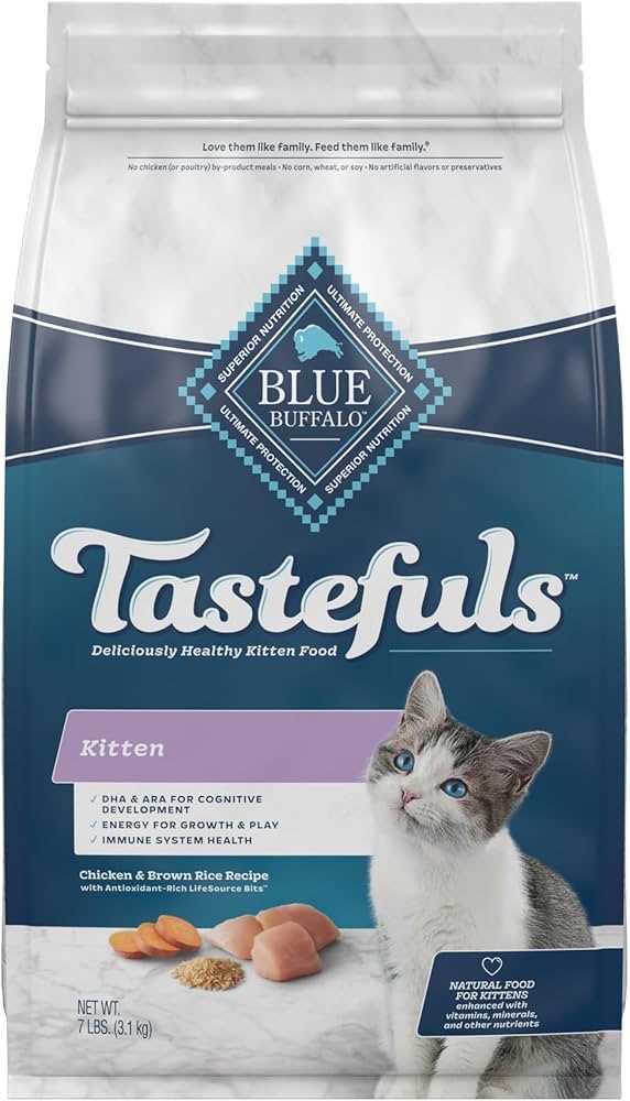 Best dry cat food for cats with no teeth