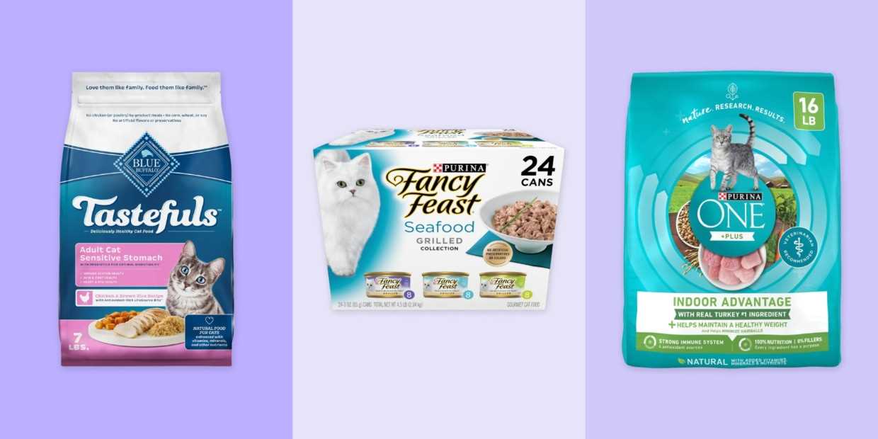 Best dry cat food for indoor cats with sensitive stomachs