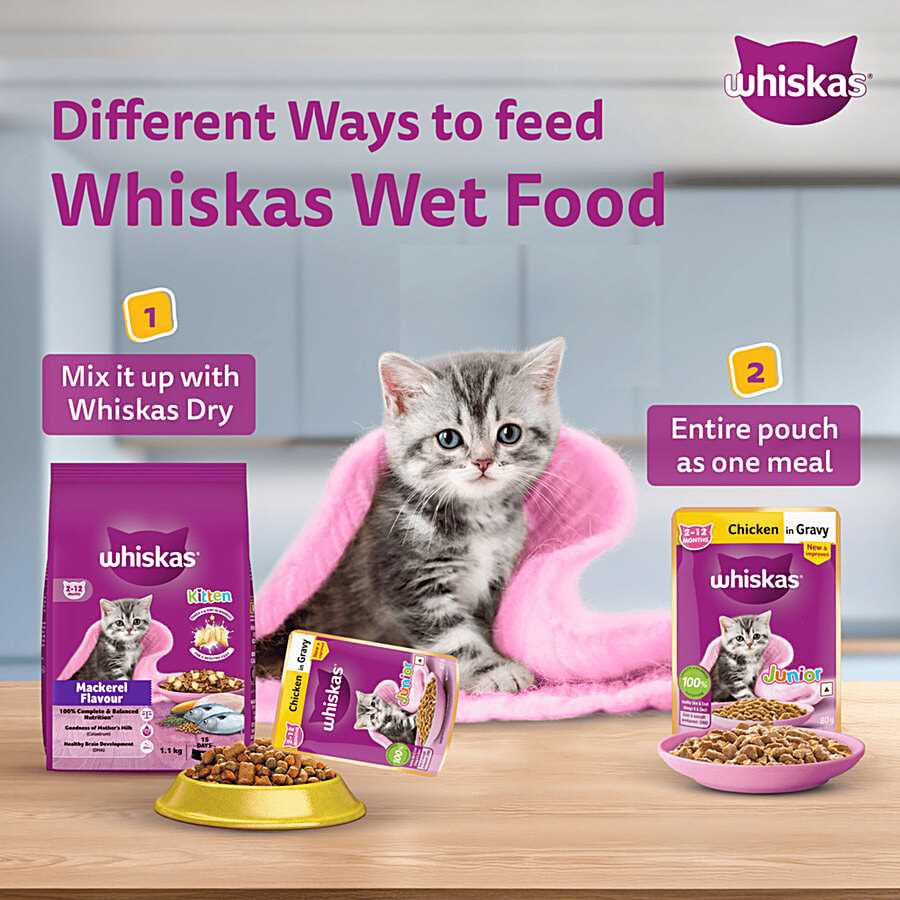 Best dry cat food for nursing cats
