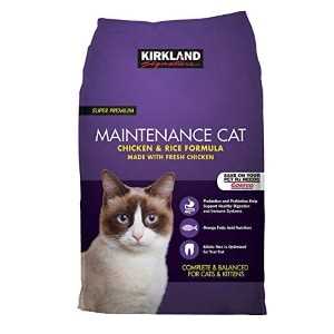 Best dry food brands for cats