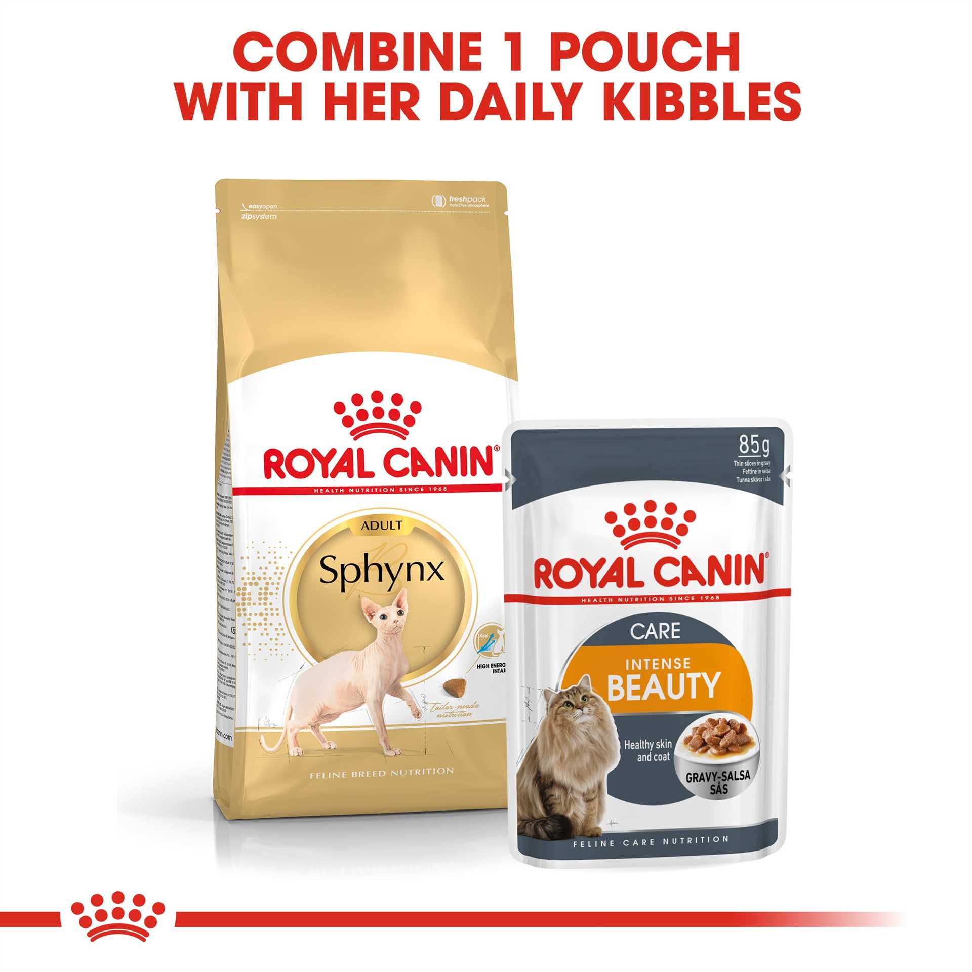 Best dry food for sphynx cats
