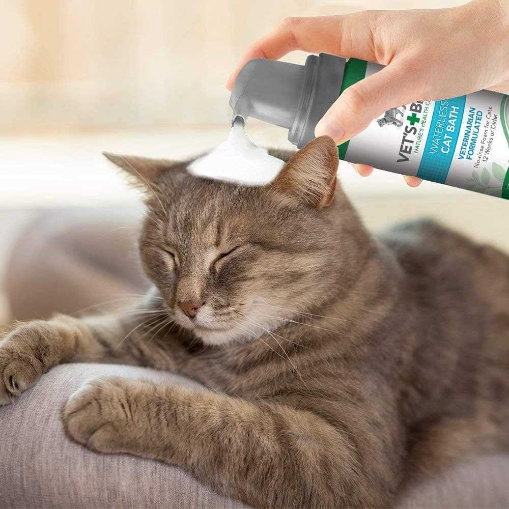Best dry shampoo for cats