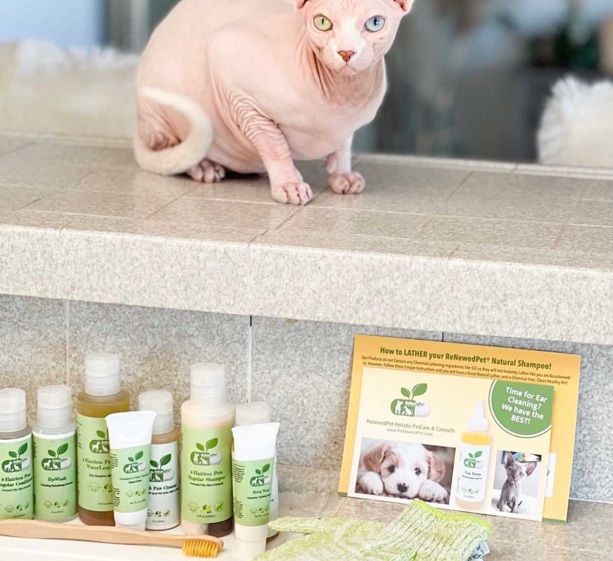 Best ear cleaner for sphynx cats