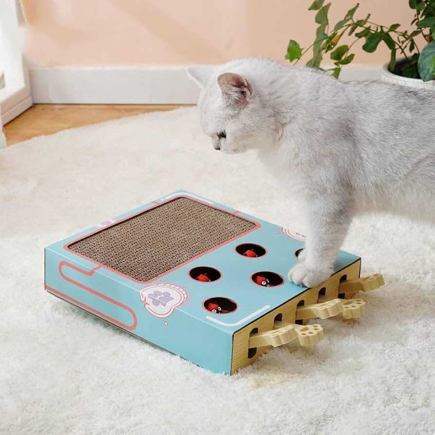 Best enrichment toys for cats