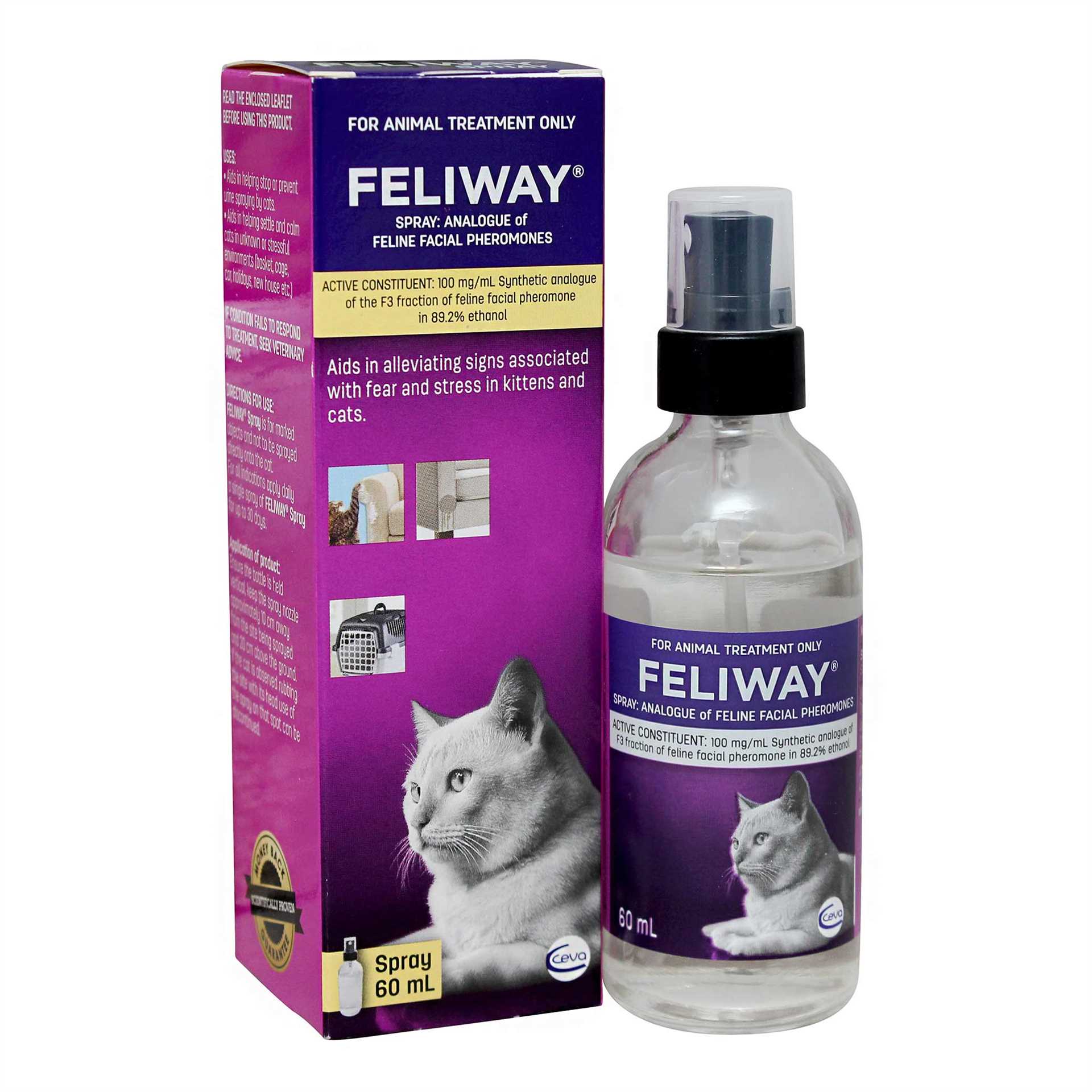 Best feliway for spraying cats