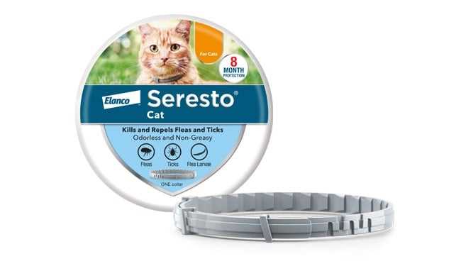 Best flea and tick collar for cats