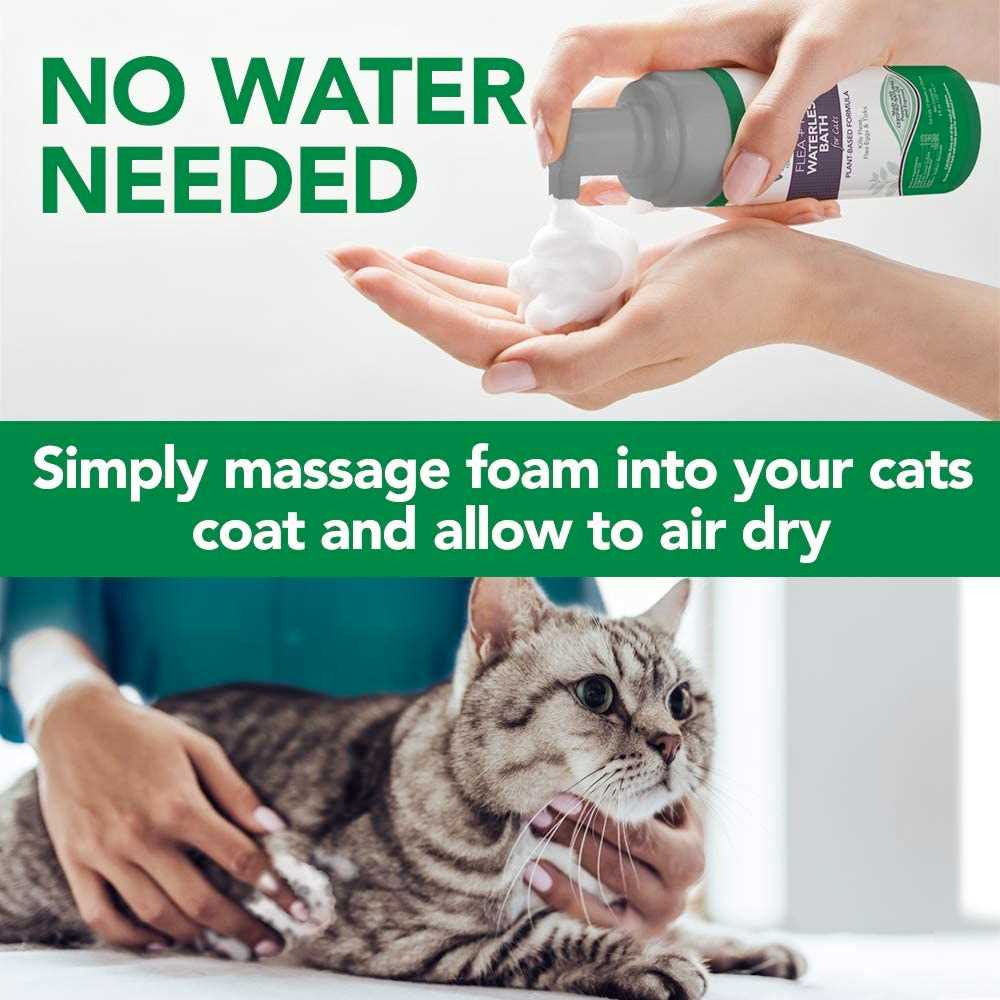 Best flea and tick shampoo for cats
