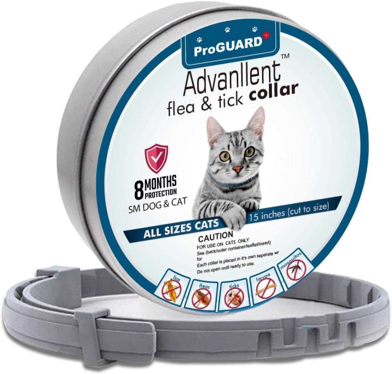 Best flea collor for cats