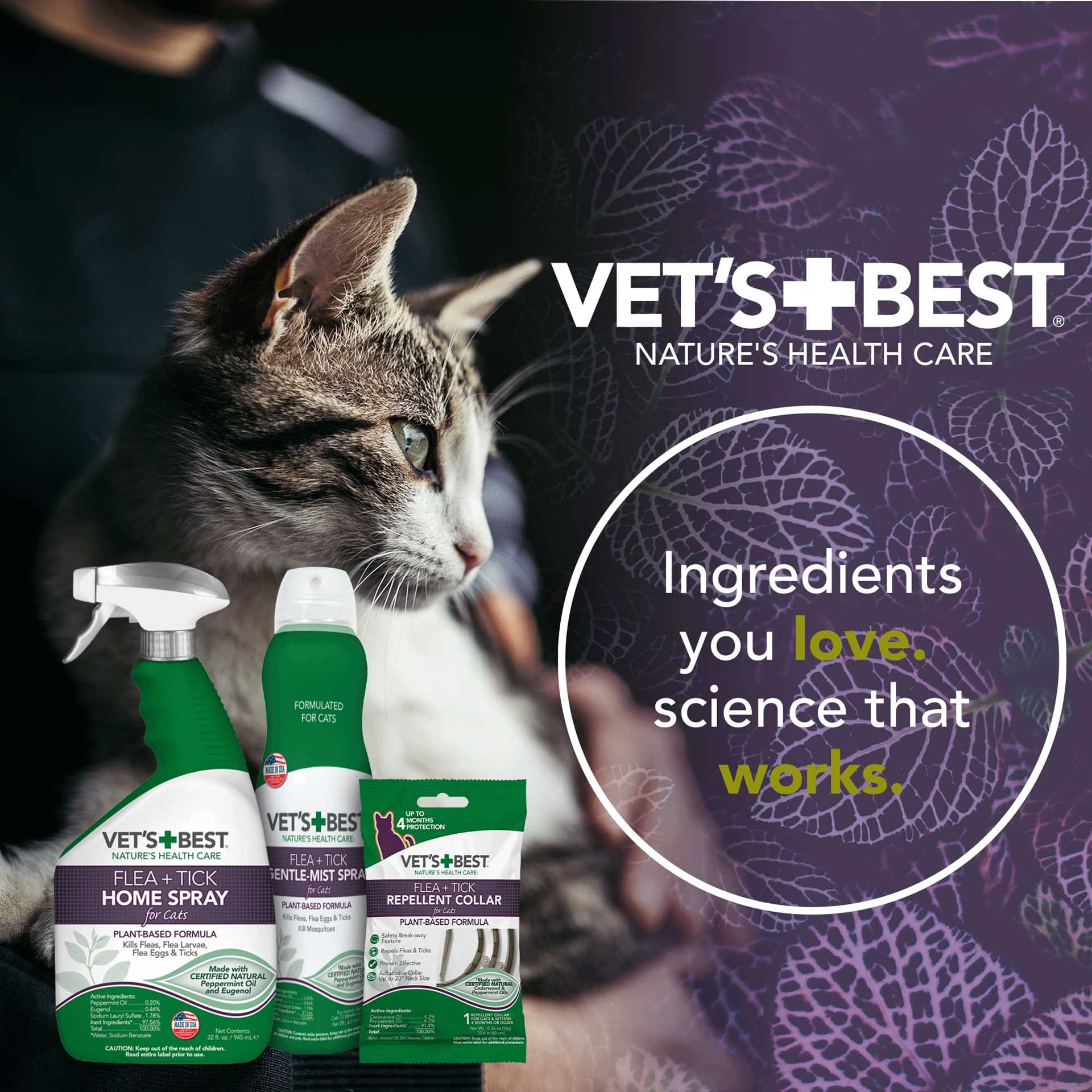 Best flea control for feral cats