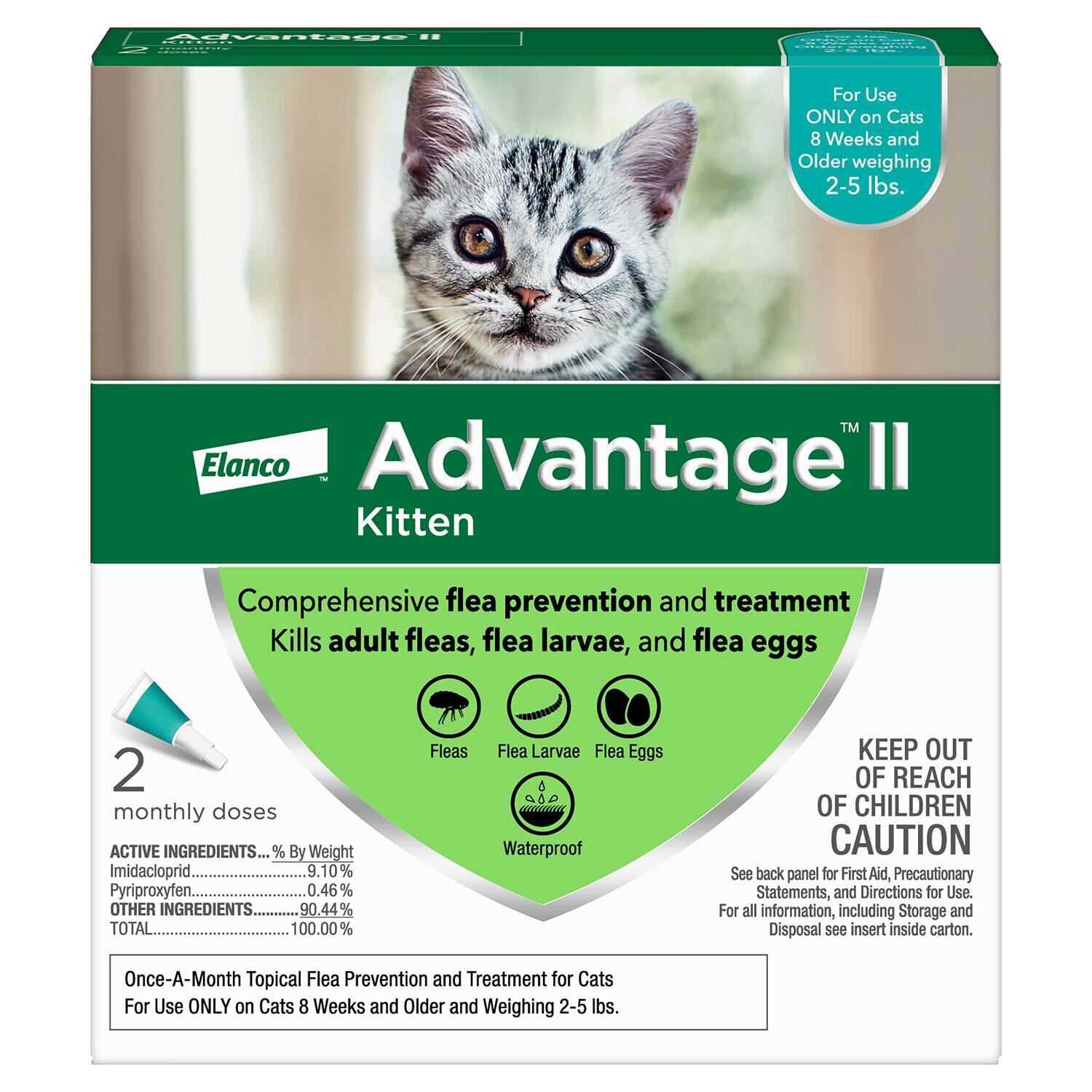 Best flea dip for cats