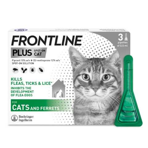 Best flea medicines for cats