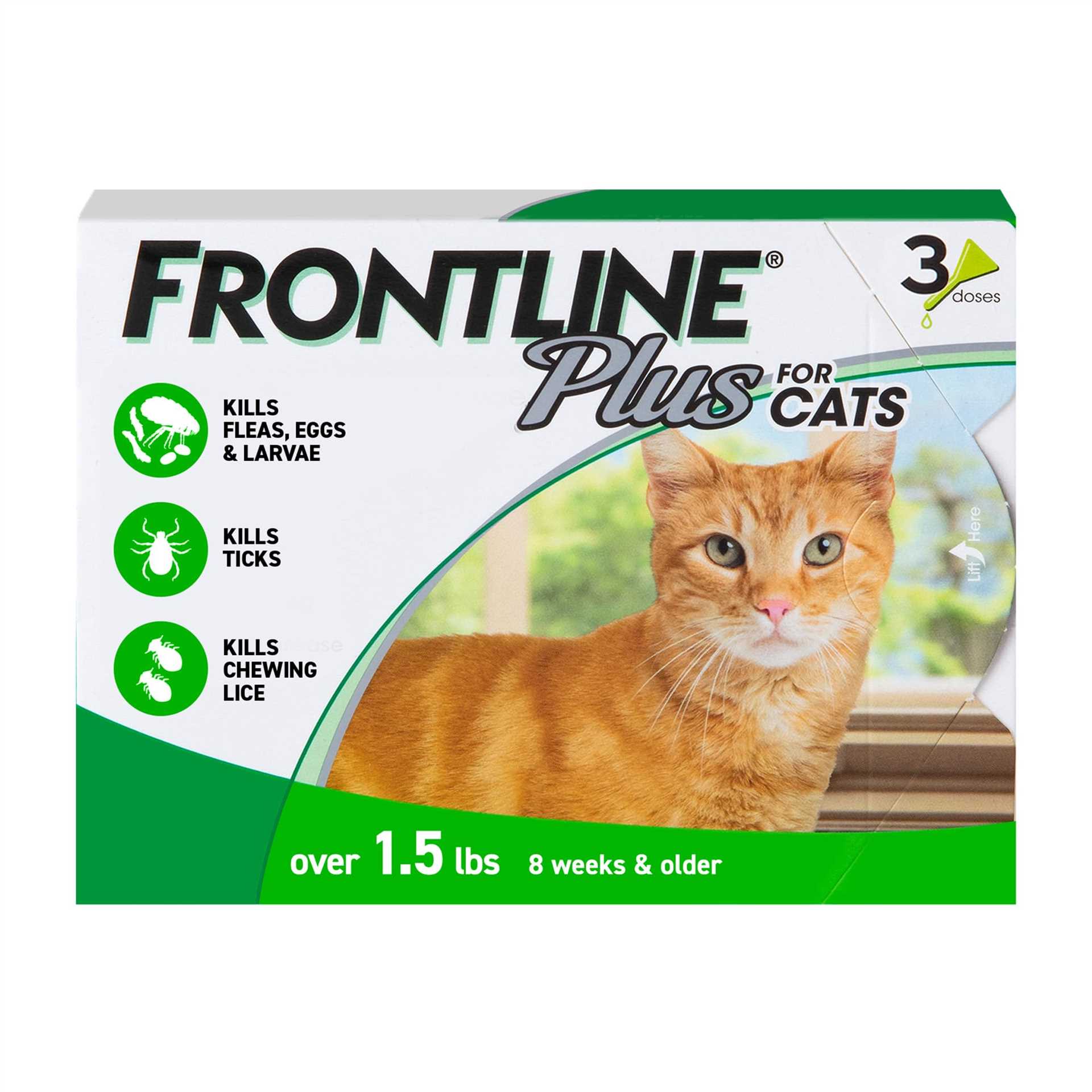 Best flea protection for cats