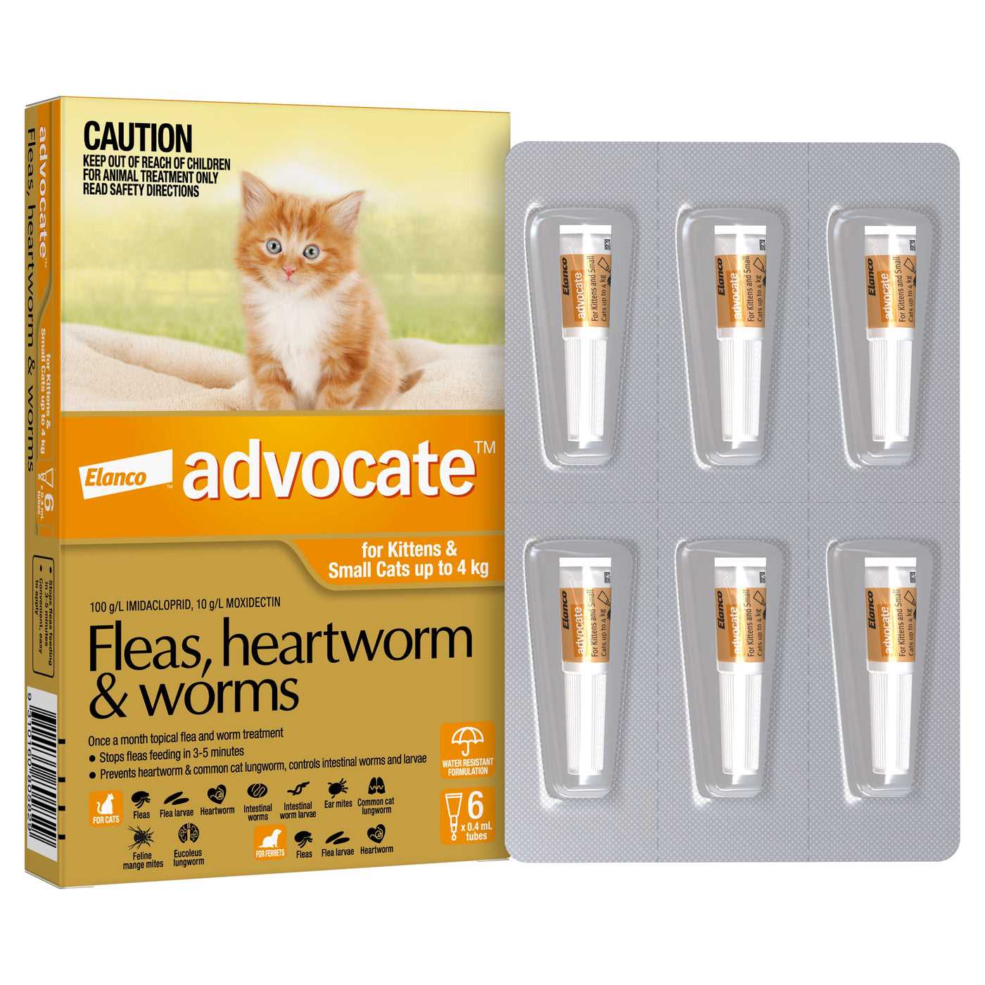 Best flea tick and heartworm prevention for cats